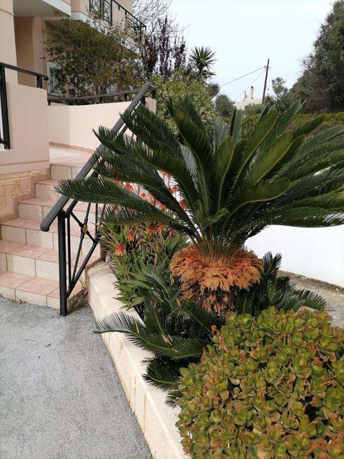 Kydoni Apartments And Studios Agia Marina Екстериор снимка