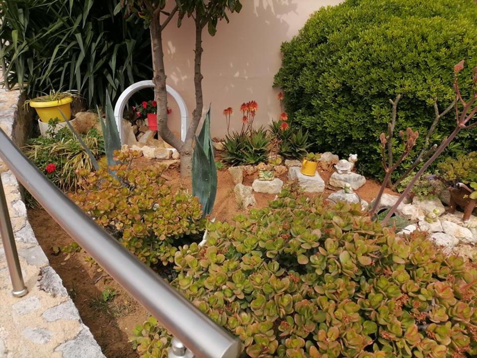 Kydoni Apartments And Studios Agia Marina Екстериор снимка